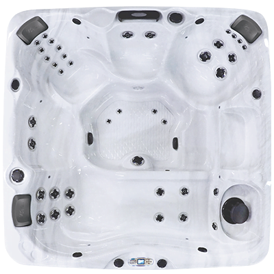 calspas-hot-tubs-portable-swim-spas-for-sale-ec-840l-top
