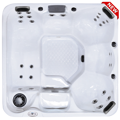 calspas-hot-tubs-portable-swim-spas-for-sale-ppz-628l-top