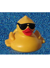 Cool-Duck1